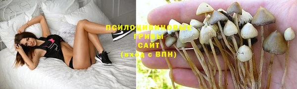 прущая мука Кулебаки