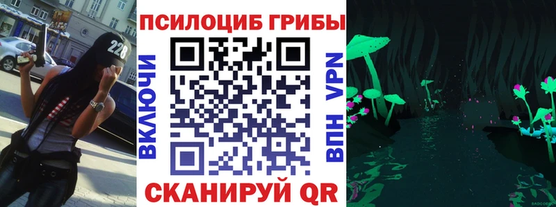 Псилоцибиновые грибы Psilocybe  Купить  Златоуст 